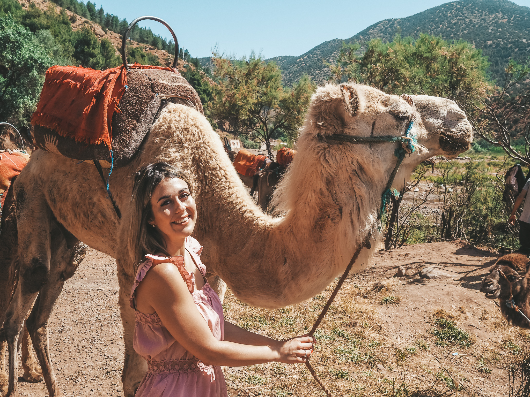 Meeting camels on the drive to Imlil