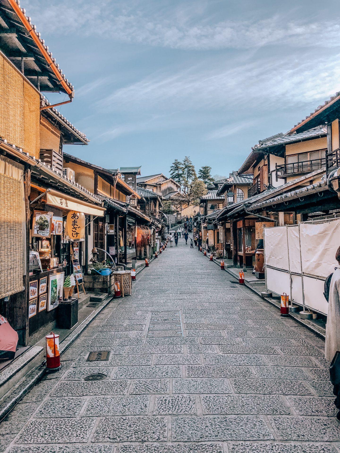 Kyoto 2 Day Itinerary