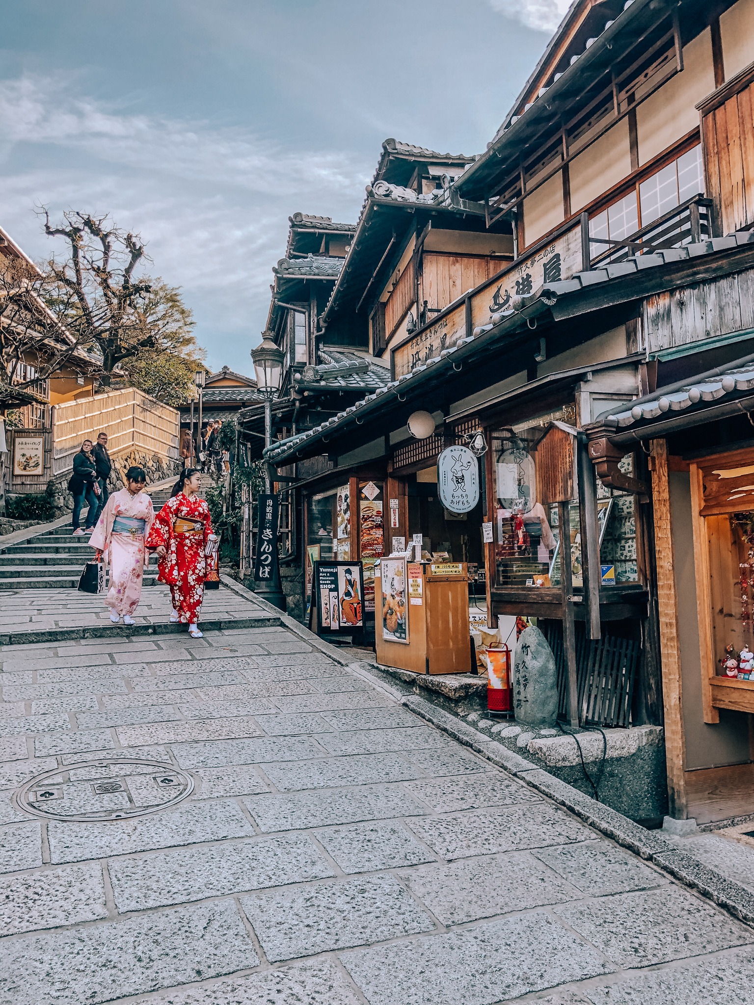 Kyoto 2 Day Itinerary