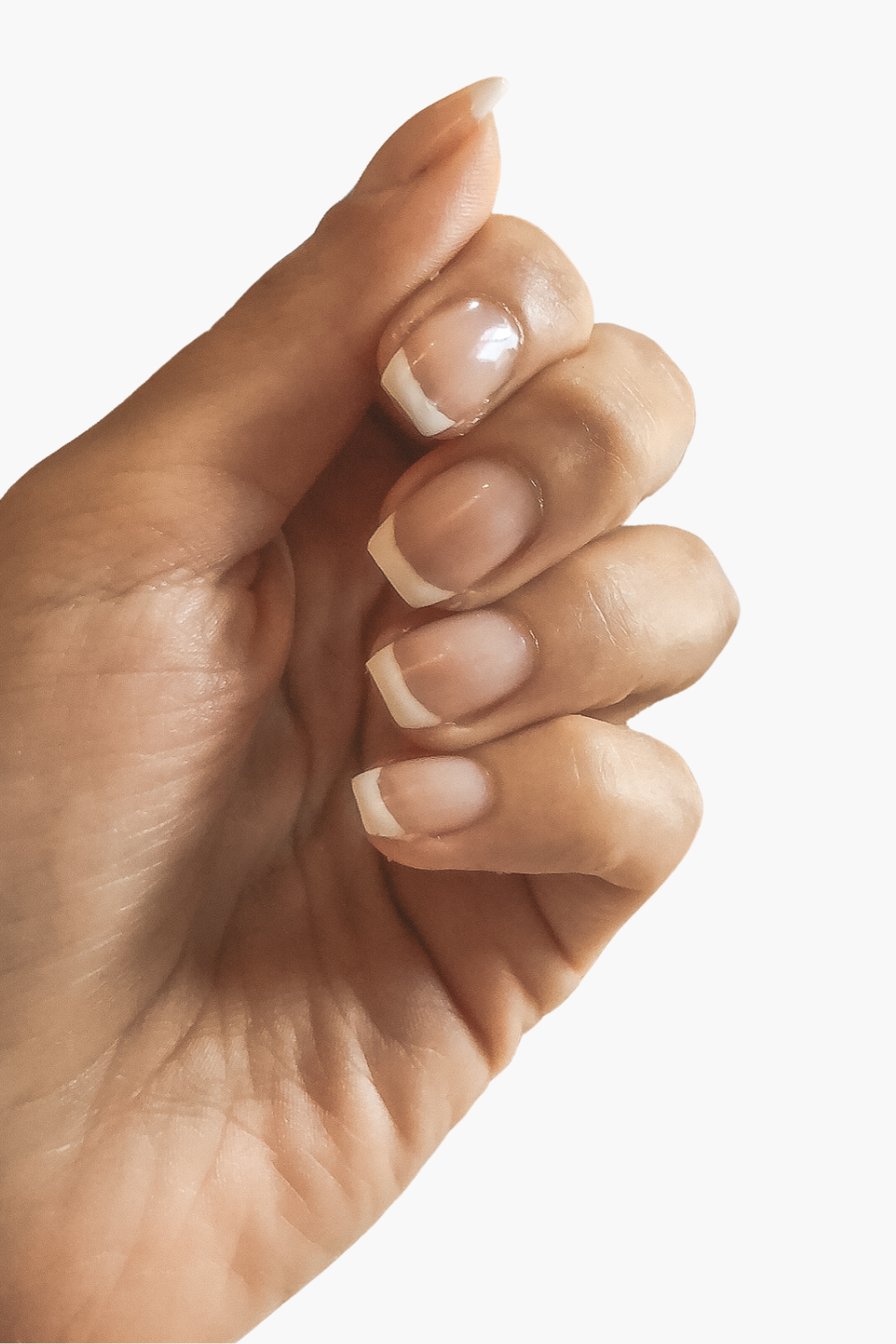 Hand with a classic white French manicure - a manicure that matches every outfit