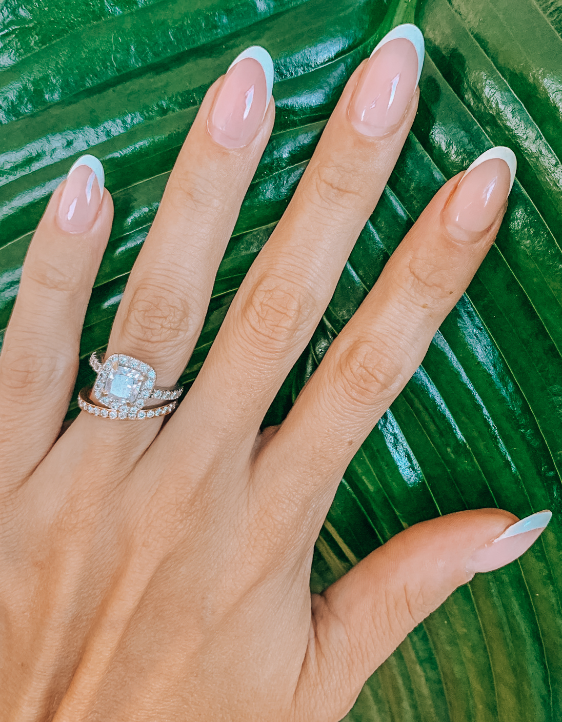 Modern French manicure against a green leaf