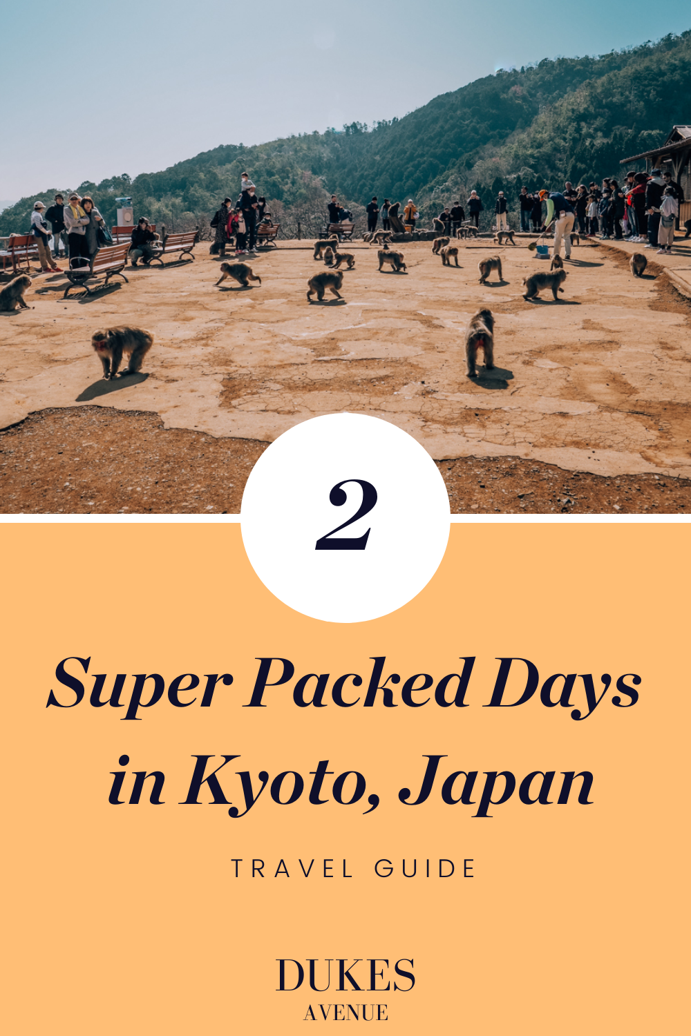 Monkeys and people on a hill with text overlay "2 Super Packed Days in Kyoto, Japan"