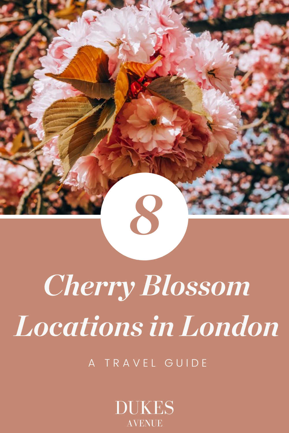 A cherry blossom with text overlay "8 Cherry Blossom Locations in London - A Travel Guide"