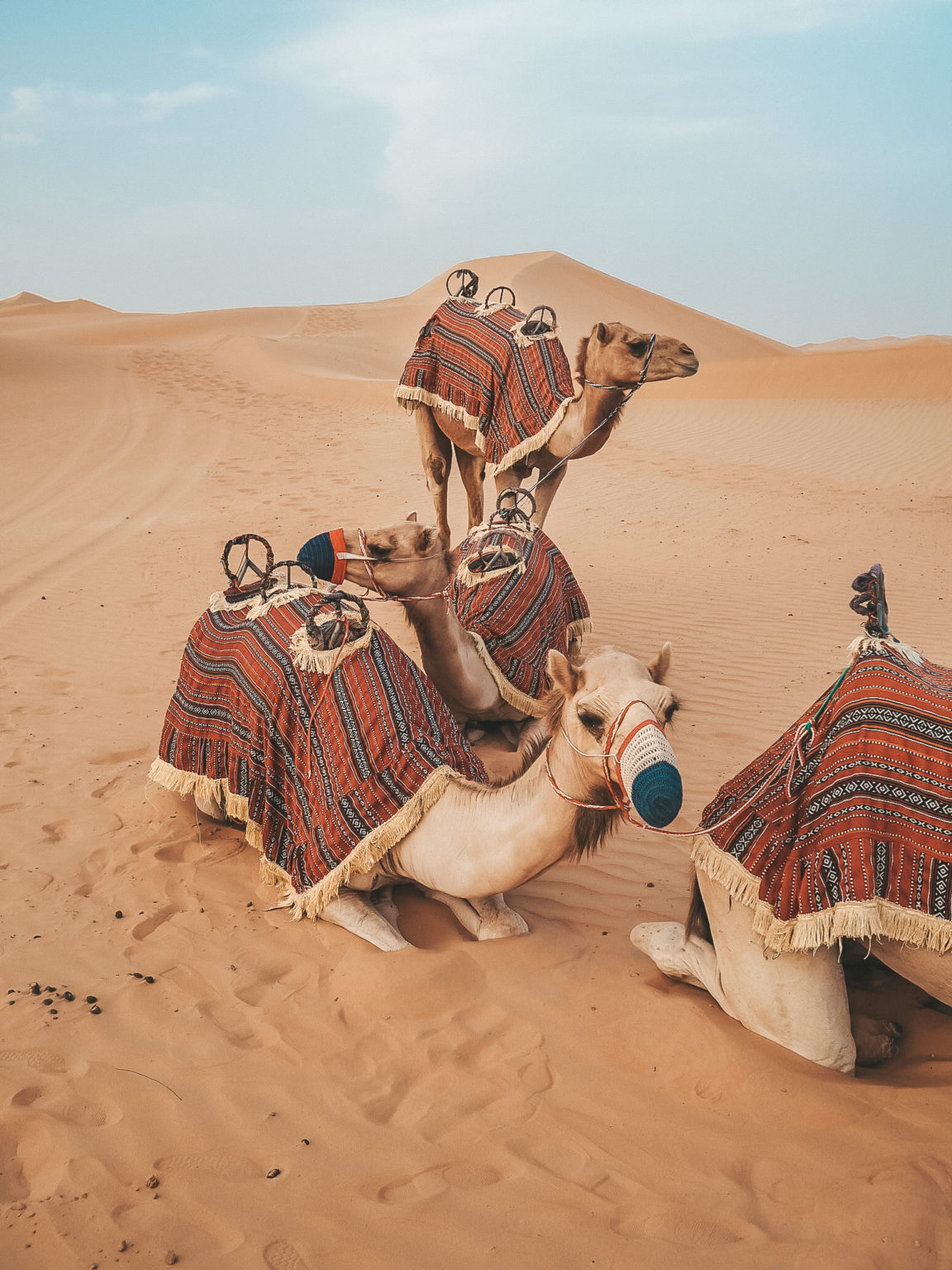 living-in-abu-dhabi-an-insider-s-guide-to-why-its-great