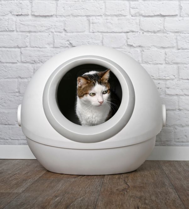 Automatic Litter Box Revolution The Best 5 You Can Buy