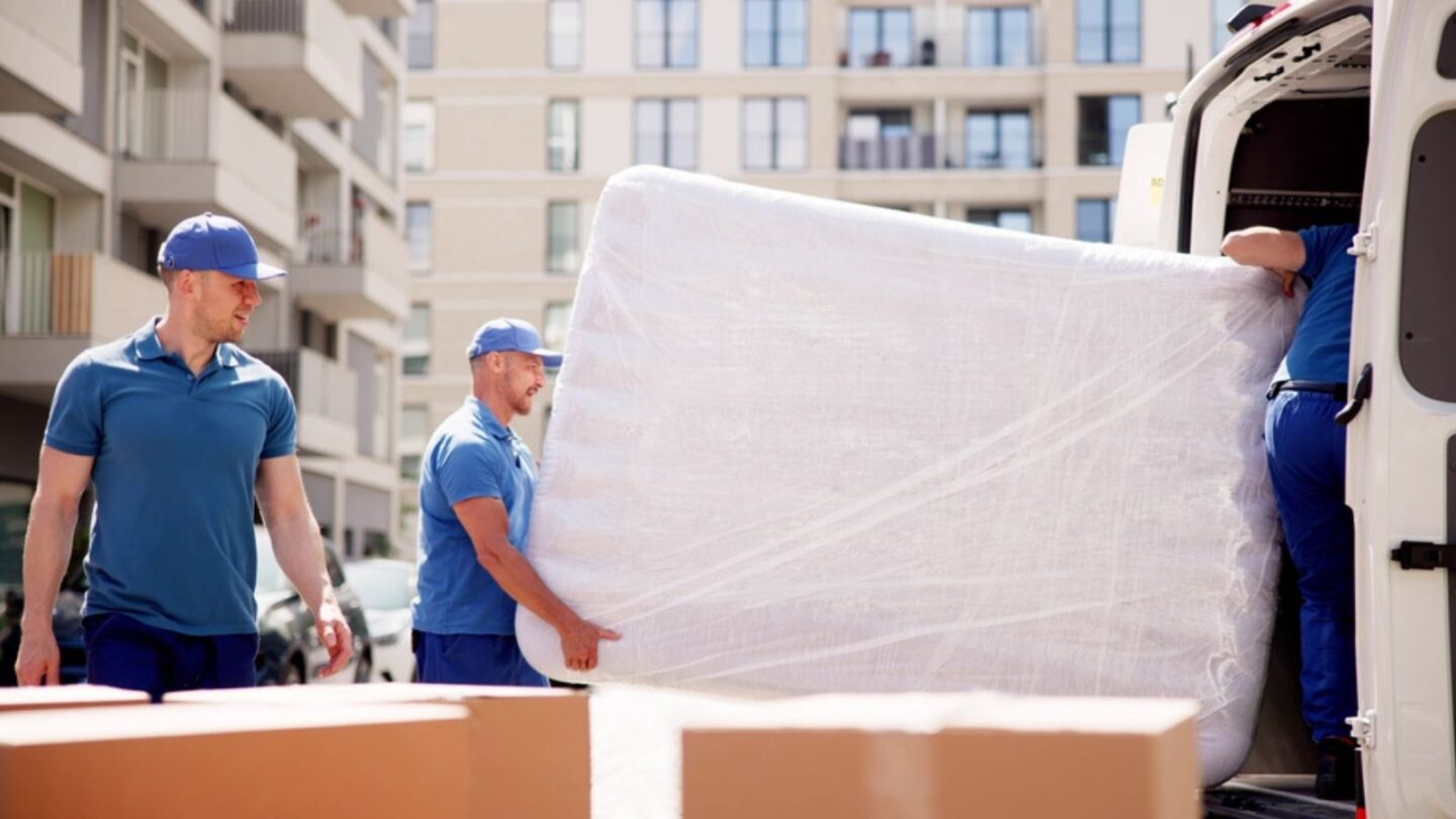 Young Movers Transport Mattress for Delivery in Proud Workers Uniform on Company's Busy Day